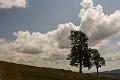 2018_08_08_Auvergne  (0024)